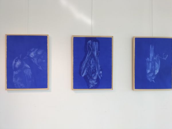 img20230315155333 img20230315155333