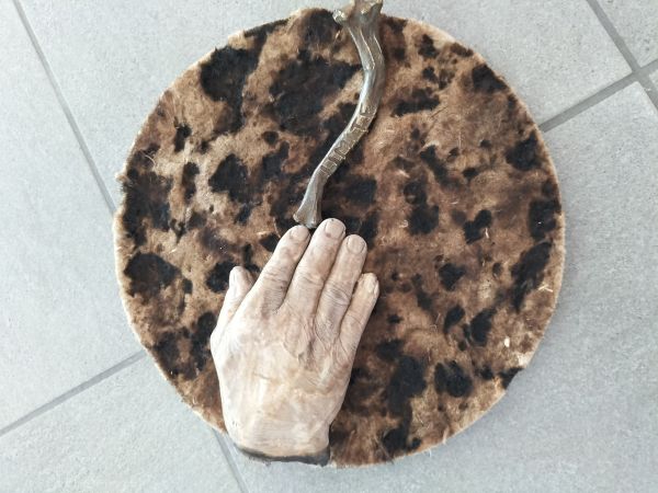 img20230315155341 img20230315155341